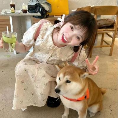 梦游夏威夷